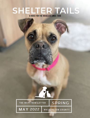 WAHS News | Washington Area Humane Society WAHS News | Washington Area Humane Society